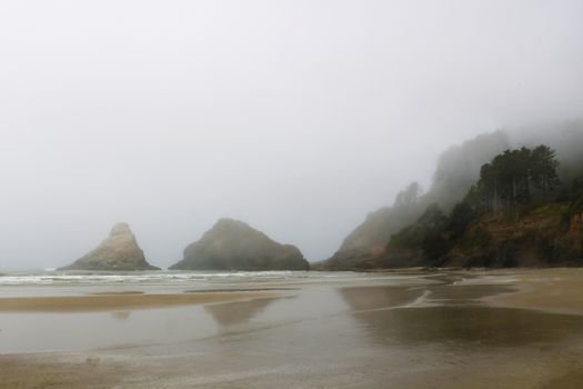 Southern Oregon coast on early foggy morning.