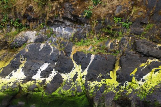 Beautiful rocky coast of the Pacific Ocean, background.