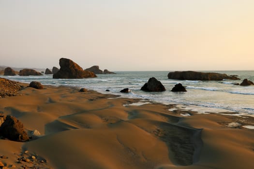 Sandy beach with small dunes on the Pacific coast.