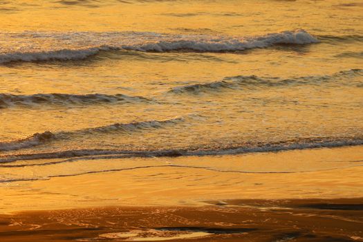 Golden waves of the pacific ocean during sunset.
