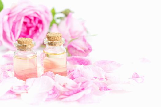 Two vials of rose essential oil, pink roses and rose petals isolated on a white background, with copy-space