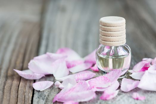Glass vial with rose essential oil and petals of pink rose on a wooden background, with copy-space