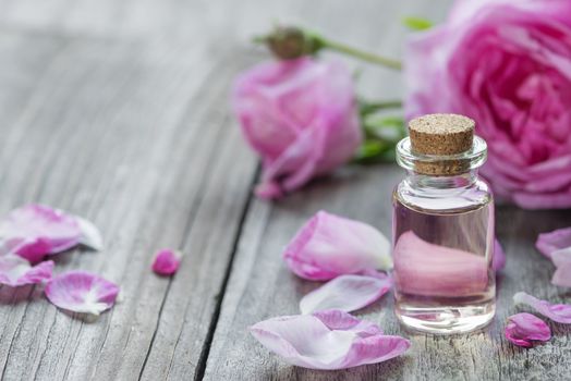 Glass vial with rose essential oil and flower of pink rose on a wooden background, with space for text