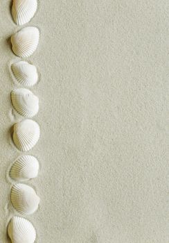 Border of seashells on the background of sea sand, with space for text