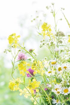 Bouquet of different yellow, pink and white wild flowers closeup outdoors