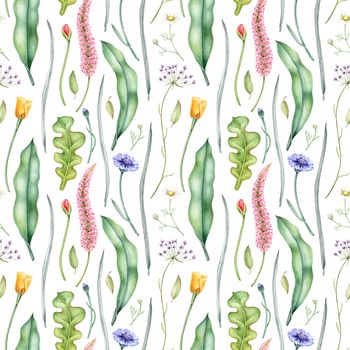 Watercolor floral pattern with wildflowers and herbs. Hand drawn botanical illustration. Seamless background.