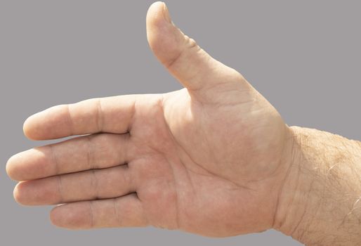 Close-up of an adult man's hand, palm forward. Isolated on grey background.