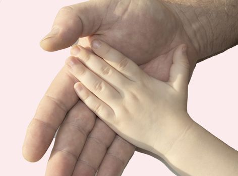 The hand of an adult MAN holding the hand of a child in the palm of his HAND, isolated on a pink background, the concept of childhood protection.