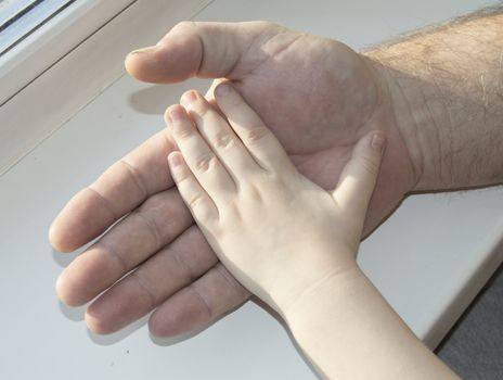 The father carefully holding in his hand the hand of a child. Happy family, care and love, father's day.