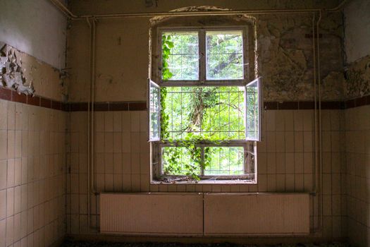 Ruins of Beelitz-Heilstätten Lost place Berlin Brandenburg;