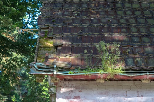 Ruins of Beelitz-Heilstätten Lost place Berlin Brandenburg;