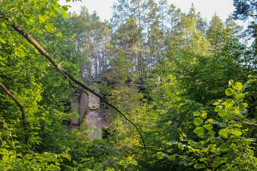 Ruins of Beelitz-Heilstätten Lost place Berlin Brandenburg;