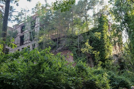 Ruins of Beelitz-Heilstätten Lost place Berlin Brandenburg;