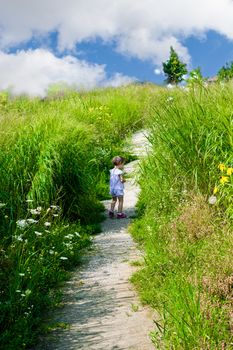 The little girl herself goes home along the path among the high grass