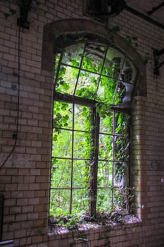 Ruins of Beelitz-Heilstätten Lost place Berlin Brandenburg;