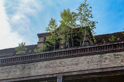 Ruins of Beelitz-Heilstätten Lost place Berlin Brandenburg;