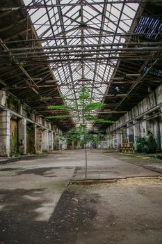 Lost Place garage of railway