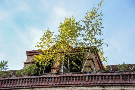 Ruins of Beelitz-Heilstätten Lost place Berlin Brandenburg;