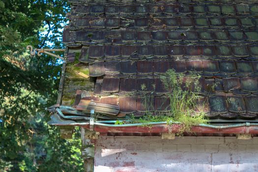 Ruins of Beelitz-Heilstätten Lost place Berlin Brandenburg;