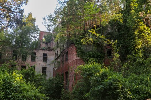 Ruins of Beelitz-Heilstätten Lost place Berlin Brandenburg;