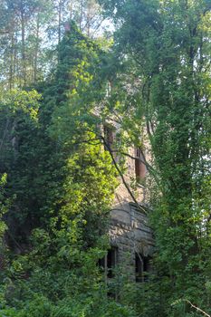 Ruins of Beelitz-Heilstätten Lost place Berlin Brandenburg;
