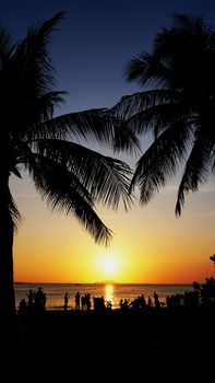 Sunset landscape. beach sunset. palm trees silhouette on sunset tropical beach, China