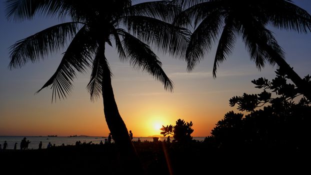 Sunset landscape. beach sunset. palm trees silhouette on sunset tropical beach, China