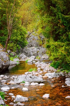 Mountain river in Trigrad Gorge, Rhodope Mountains in Southern Bulgaria, Southeastern Europe