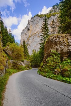 Road in the Trigrad Gorge, Rhodope Mountains in Southern Bulgaria