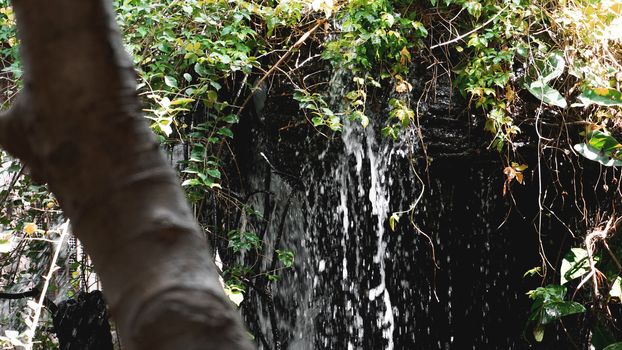 Rain in the tropical forest in jungle with waterfall - copyspace background