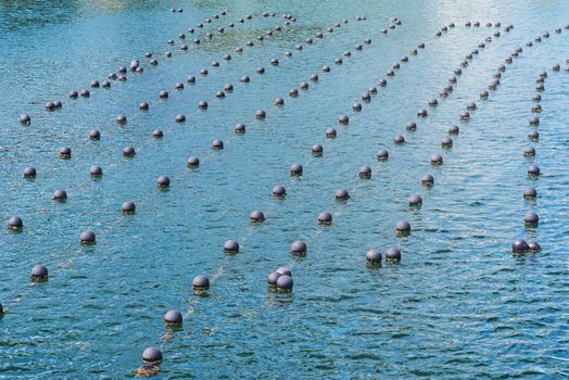 Pearl rows in the ocean, production and cultivation of pearls in the ocean. landscape and Pearl aqua farming cultivation Shima Japan.
