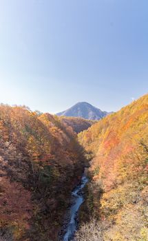 Nakatsugawa gorge from bridge at Fukushima in autumn fall Japan