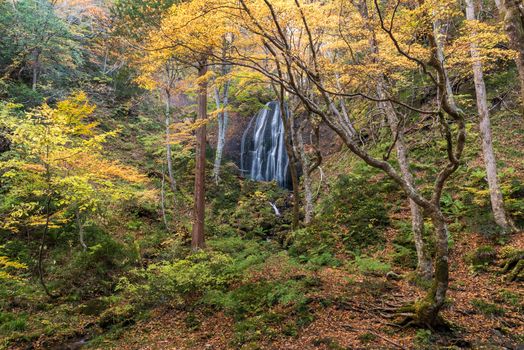 Tatsuzawafudo waterfall in autumn Fall season at Fukushima