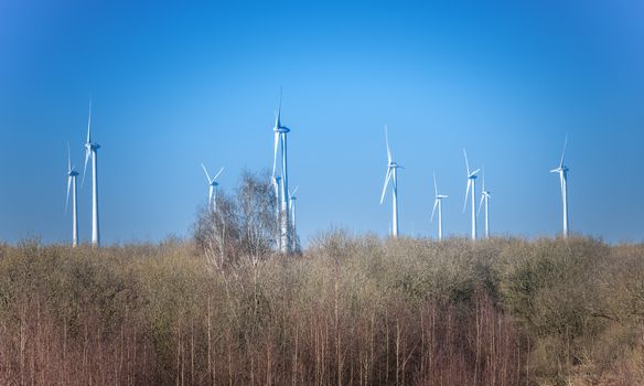 windmills above the forest after a national park in holland