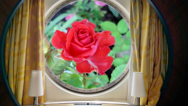 red rose outside the round ship porthole