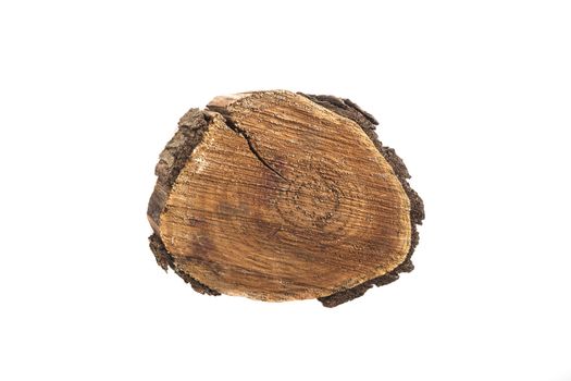 Felled tree slice. Wood texture. Isolated on white background