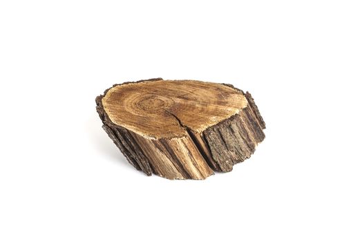 Felled tree slice. Wood texture. Isolated on white background