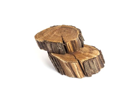 Felled tree slice. Wood texture. Isolated on white background