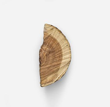 Half cut wooden log. Isolated on white background