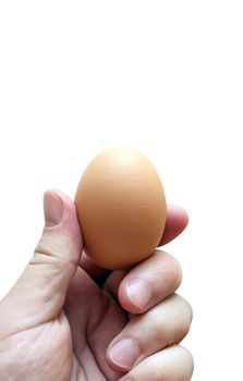 Hand holding an egg isolated on white background. With clipping path.