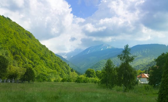 Beautiful landscape in summer in the mountains