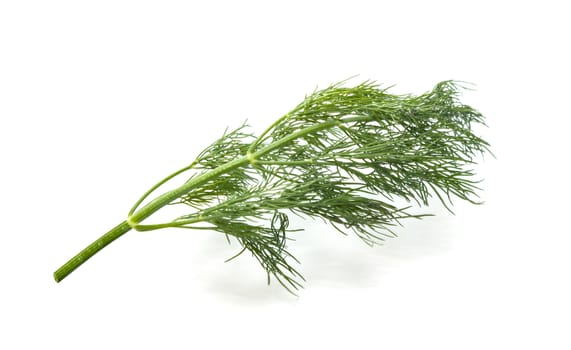 bunch fresh, green dill on a white background