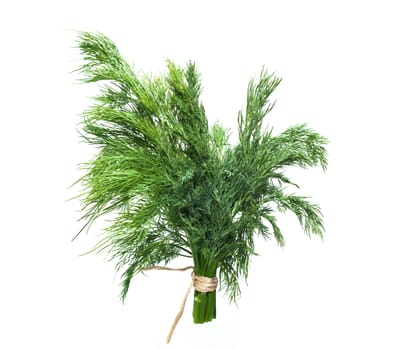 bunch fresh, green dill on a white background