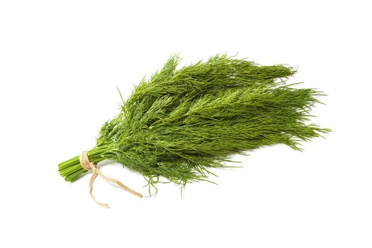 bunch fresh, green dill on a white background