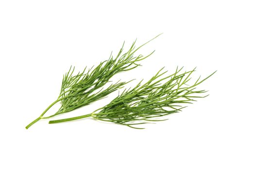 bunch fresh, green dill on a white background