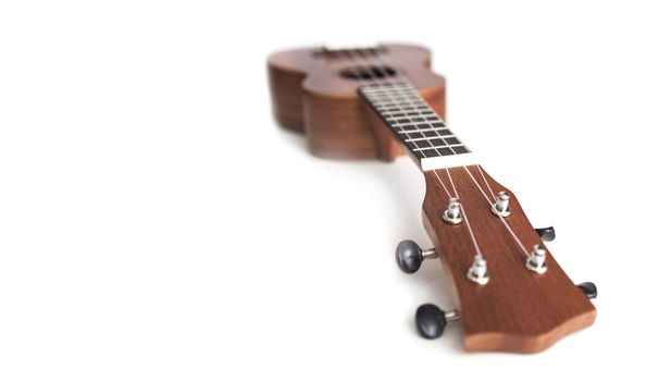 The brown ukulele guitar isolated on the white background. Blurred concept