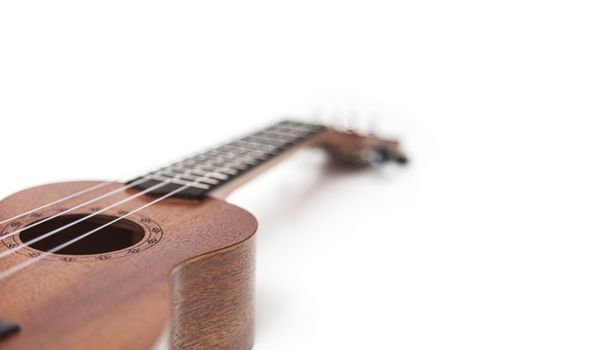 The brown ukulele guitar isolated on the white background. Blurred concept