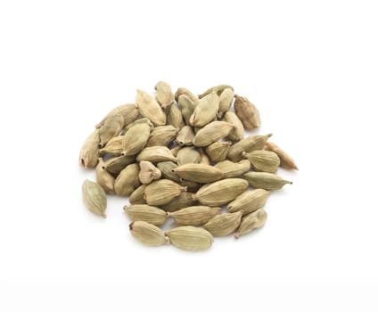 Cardamon pods spices isolated on white background