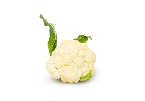 Fresh cauliflower cabbage vegetable on white background