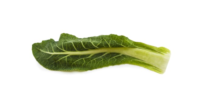 Cabbage, cauliflower green leaves. Isolated on white background